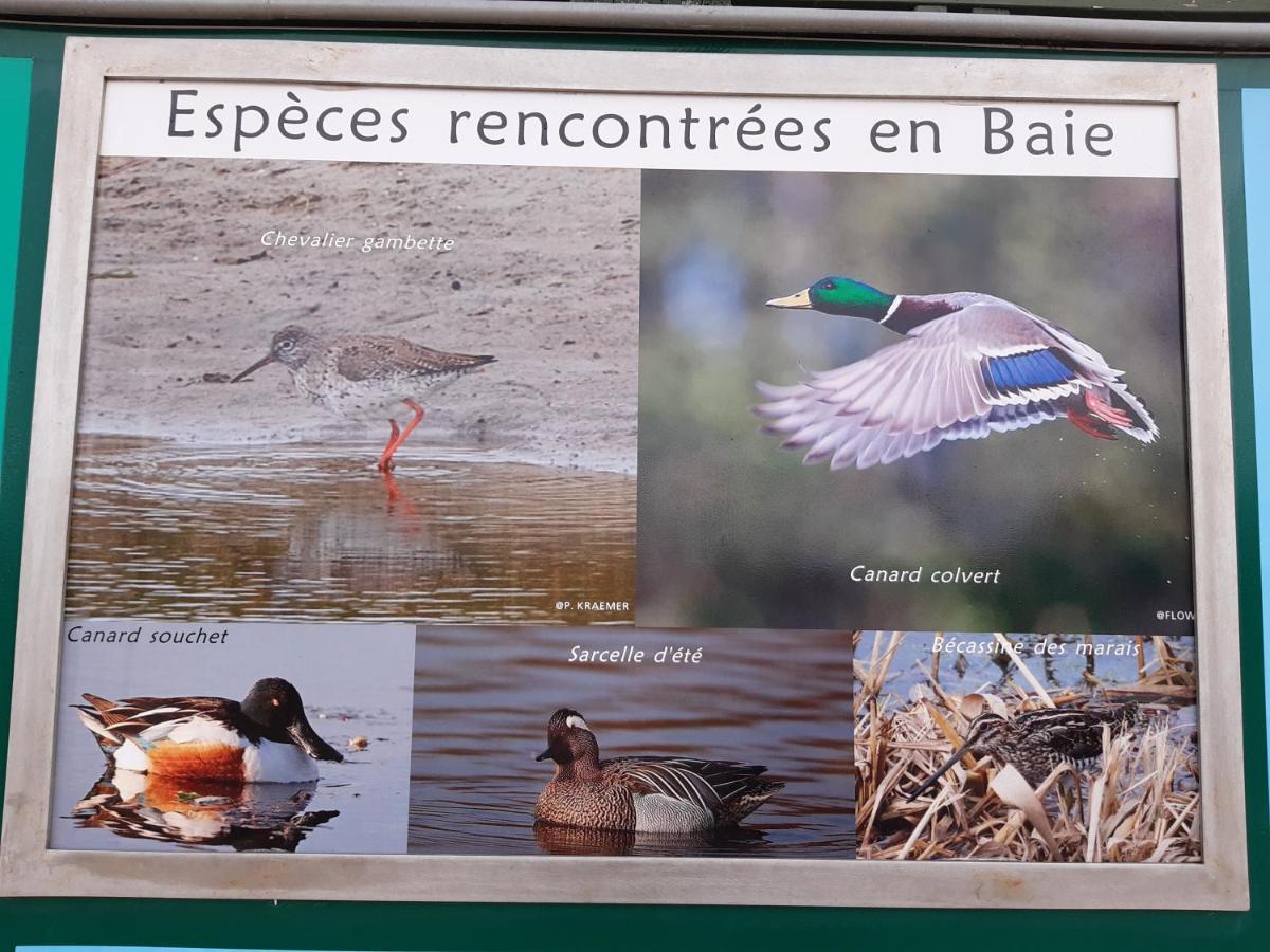 Les Obiones, Vue Laterale Mer, Fort Mahon Plage, Magnifique Studio Cabine 4P, Avec Balcon , Parking Prive Gratuit, Wifi, Classe 2 Etoiles, Exposition Plein Sud En Baie De Somme ภายนอก รูปภาพ