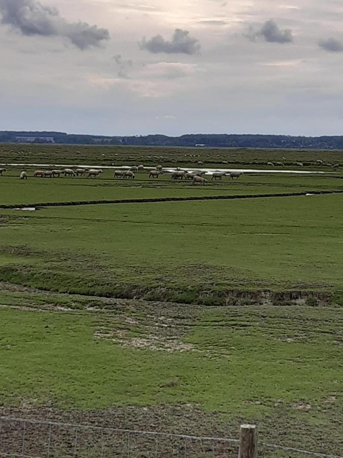 Les Obiones, Vue Laterale Mer, Fort Mahon Plage, Magnifique Studio Cabine 4P, Avec Balcon , Parking Prive Gratuit, Wifi, Classe 2 Etoiles, Exposition Plein Sud En Baie De Somme ภายนอก รูปภาพ