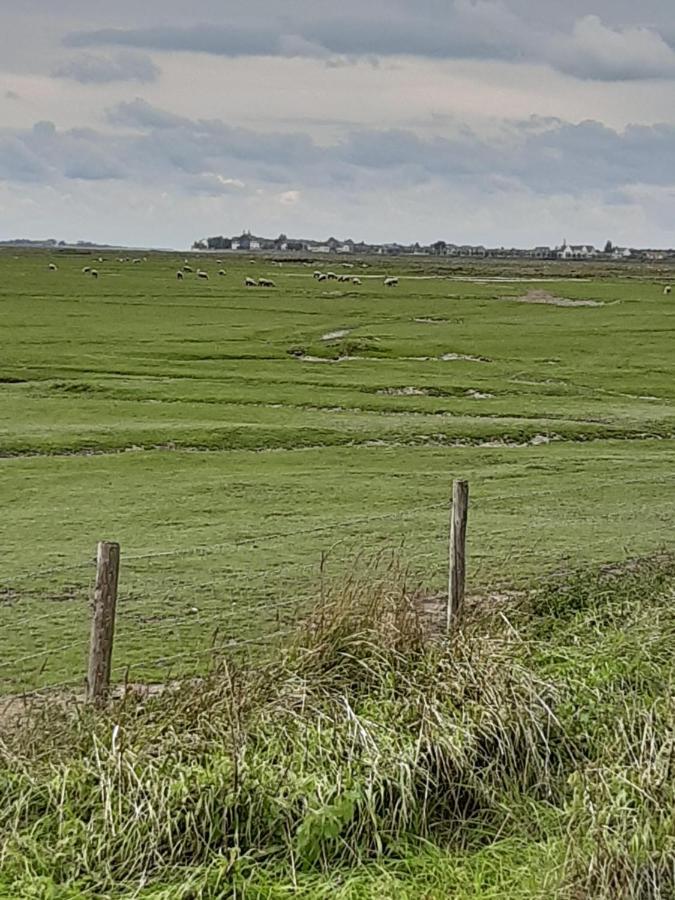 Les Obiones, Vue Laterale Mer, Fort Mahon Plage, Magnifique Studio Cabine 4P, Avec Balcon , Parking Prive Gratuit, Wifi, Classe 2 Etoiles, Exposition Plein Sud En Baie De Somme ภายนอก รูปภาพ