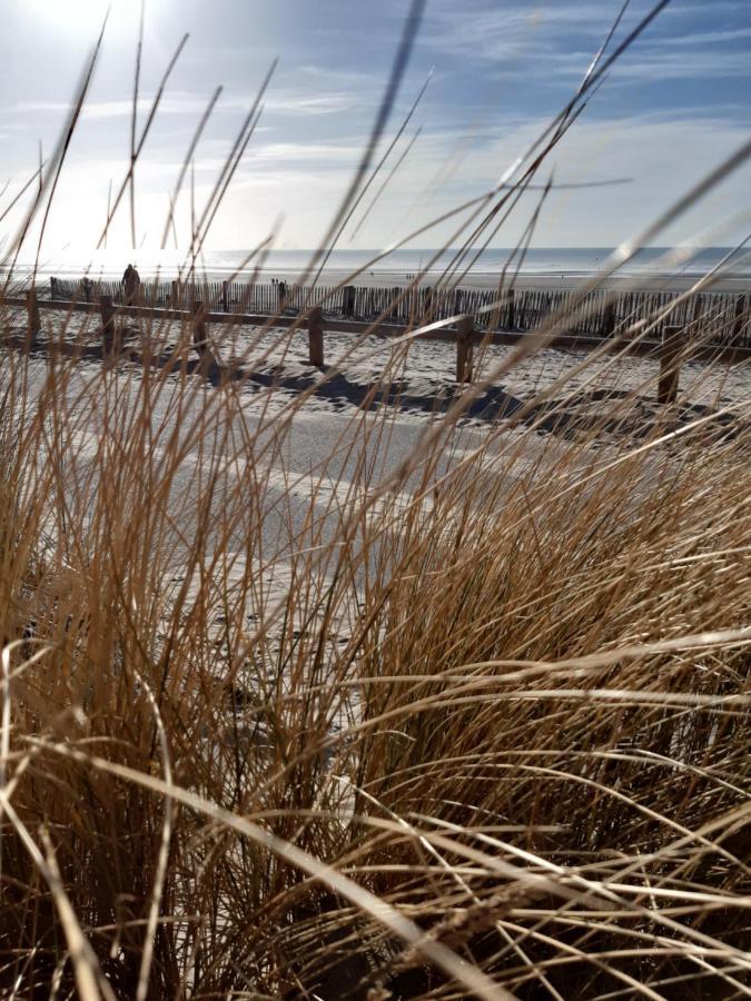 Les Obiones, Vue Laterale Mer, Fort Mahon Plage, Magnifique Studio Cabine 4P, Avec Balcon , Parking Prive Gratuit, Wifi, Classe 2 Etoiles, Exposition Plein Sud En Baie De Somme ภายนอก รูปภาพ
